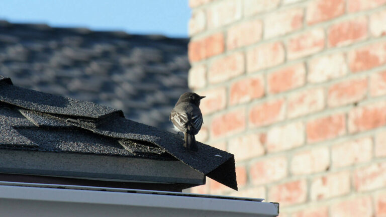 Spring Roof Flashing Problems Hudson Valley Homeowners Should Check Before the Next Storm
