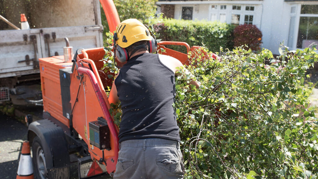 Spring Tree Cleanup in Putnam County: What to Remove, Trim, and Watch After Winter
