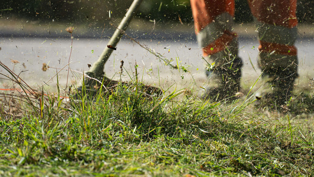 How Much Does Spring Yard Cleanup Cost in Dutchess County?