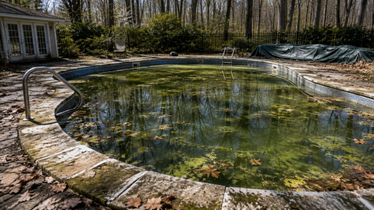 Can Your Pool Stay Closed One More Season Without Causing Bigger Damage?